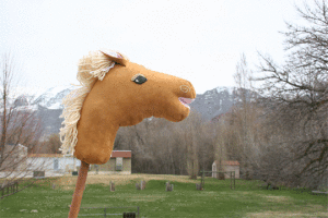 Toddler party entertainment. These little horseies will be a blast riding on! GIF from http://madmim.com/strapping-stick-horse-diy/